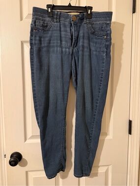 Democracy Skinny Jeans in Medium Blue Wash
